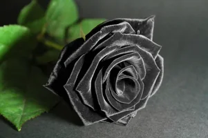 1 (21).webp