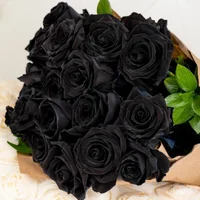 1 (27).webp