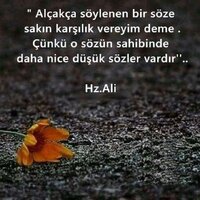 Hz.Ali 1.jpg