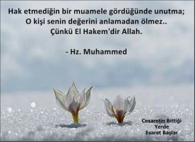 HZ.Muhammed 4.jpg